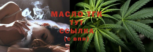 крисы Вязьма